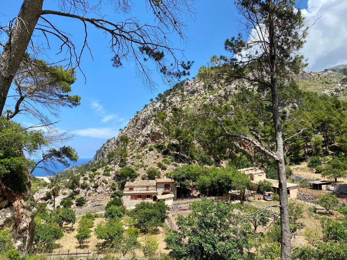 Finca Ses Fontanelles 안드라츠 외부 사진