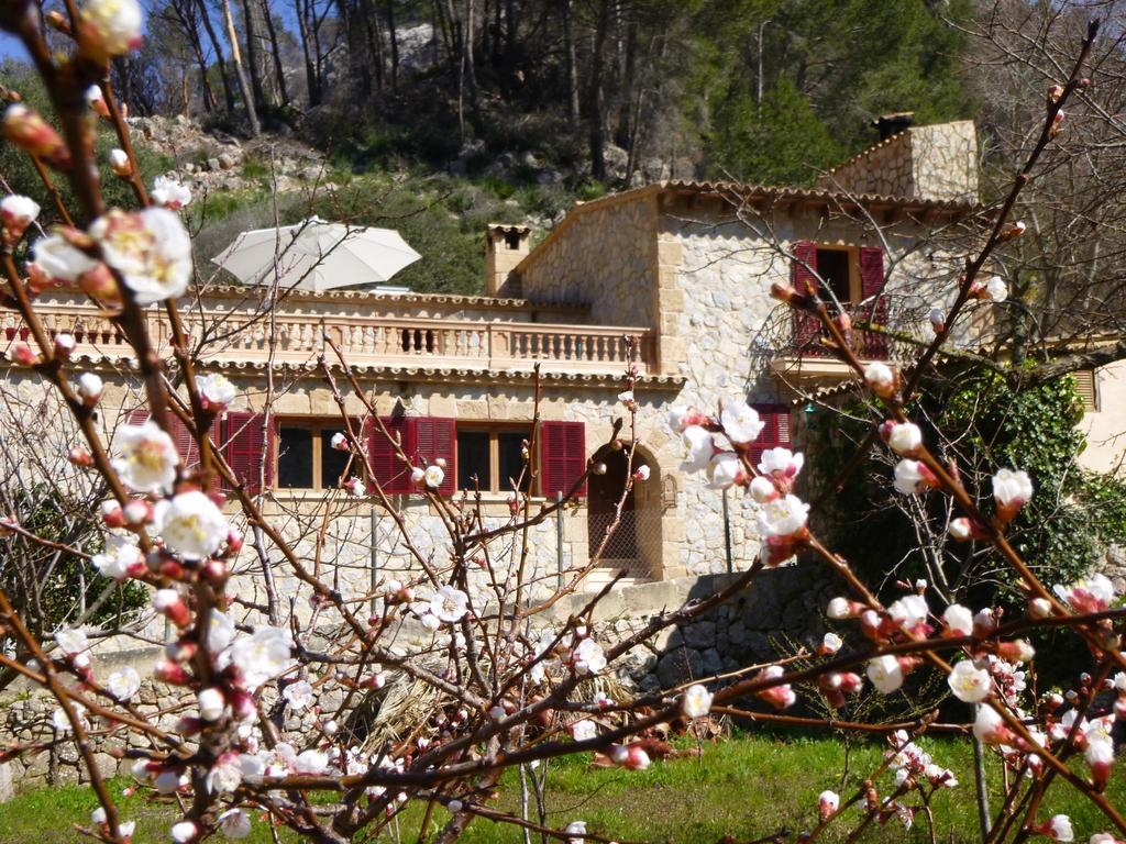 Finca Ses Fontanelles 안드라츠 외부 사진