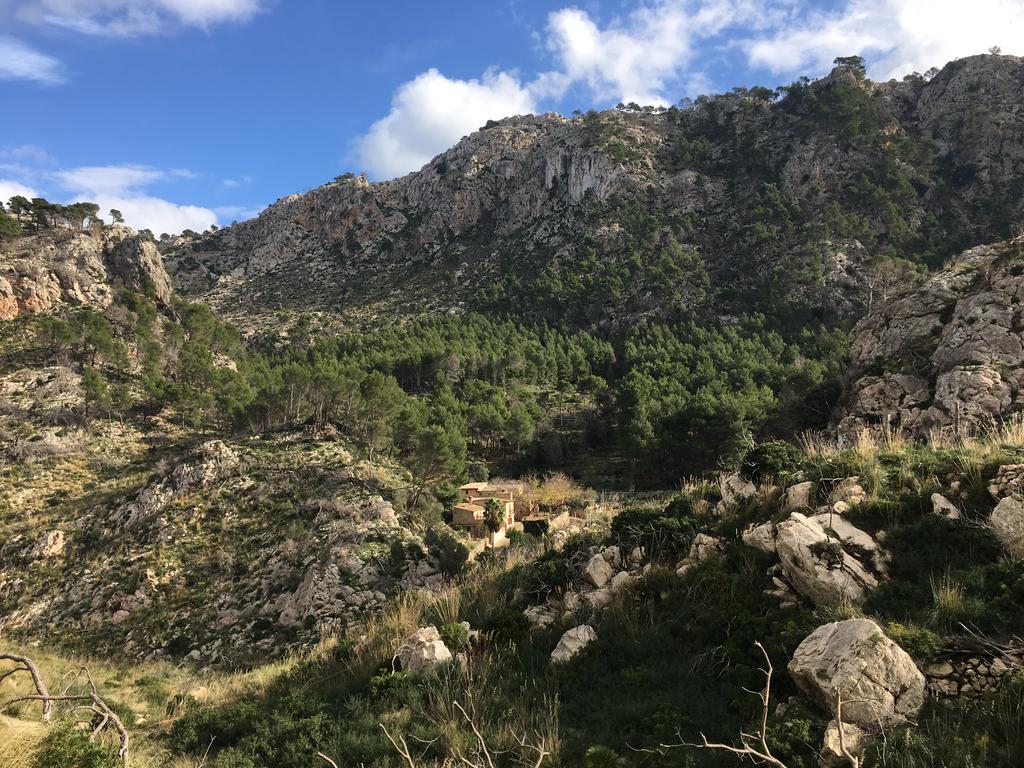 Finca Ses Fontanelles 안드라츠 외부 사진