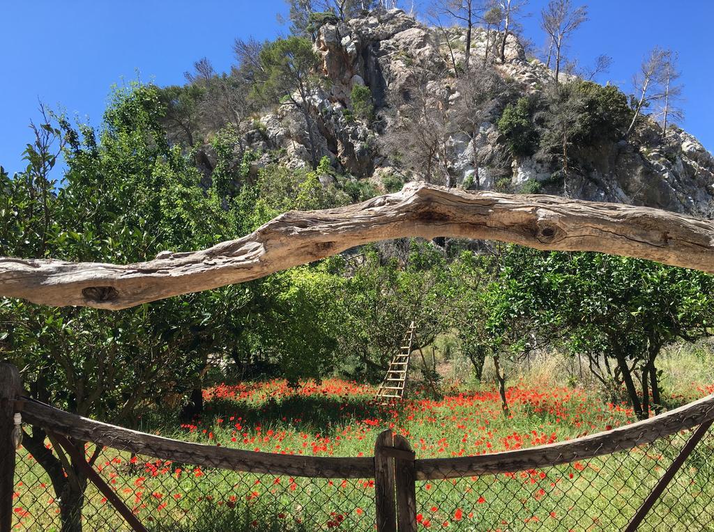 Finca Ses Fontanelles 안드라츠 외부 사진