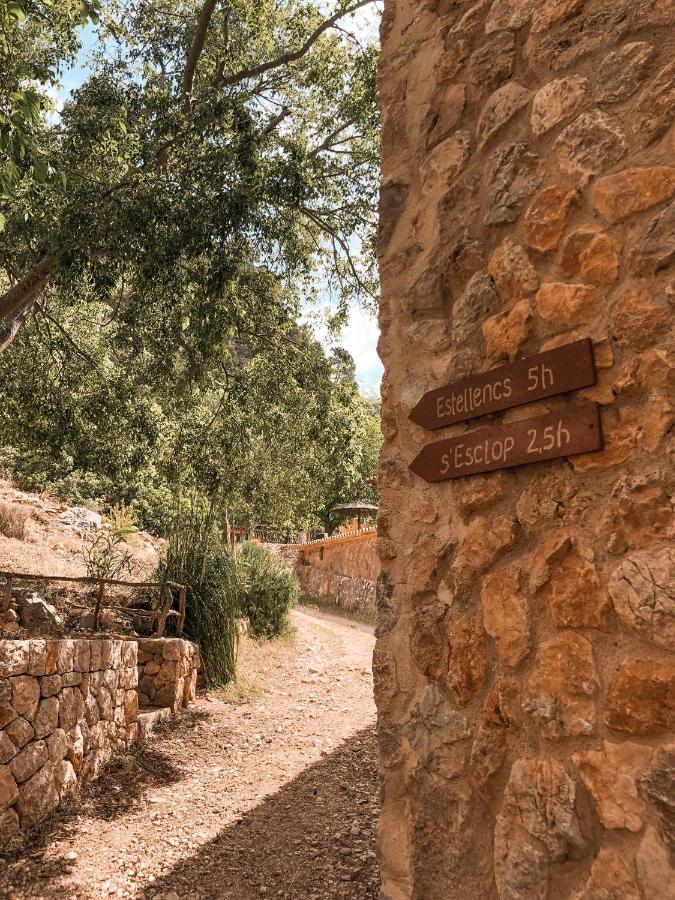Finca Ses Fontanelles 안드라츠 외부 사진